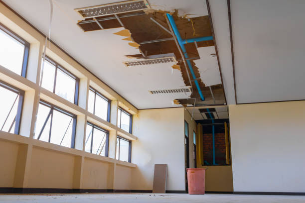 Best 24-hour water damage restoration  in Racend, LA