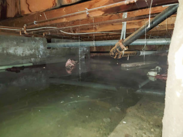 Best Water damage restoration company  in Racend, LA