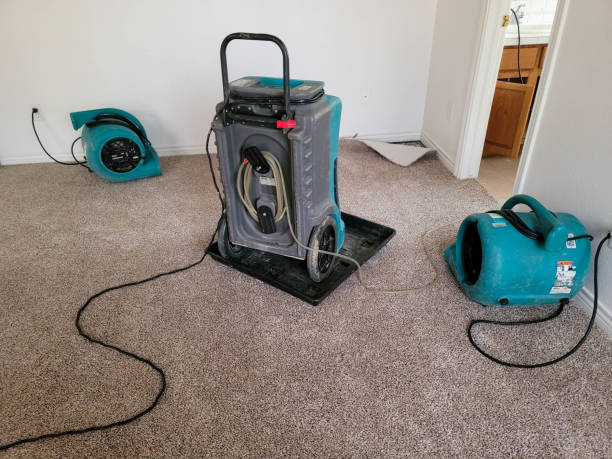 Best Sewage cleanup and water damage restoration  in Racend, LA