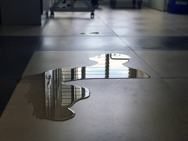 Best 24/7 water damage repair  in Racend, LA