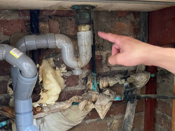 Best Water damage contractors near me  in Racend, LA