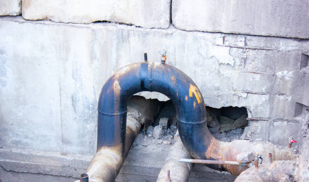 Best Professional water damage repair  in Racend, LA