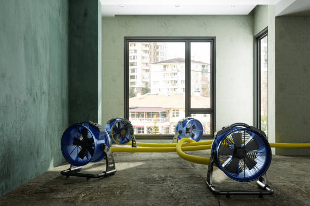 Best Water damage restoration process  in Racend, LA